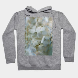 Prism Garden Hoodie